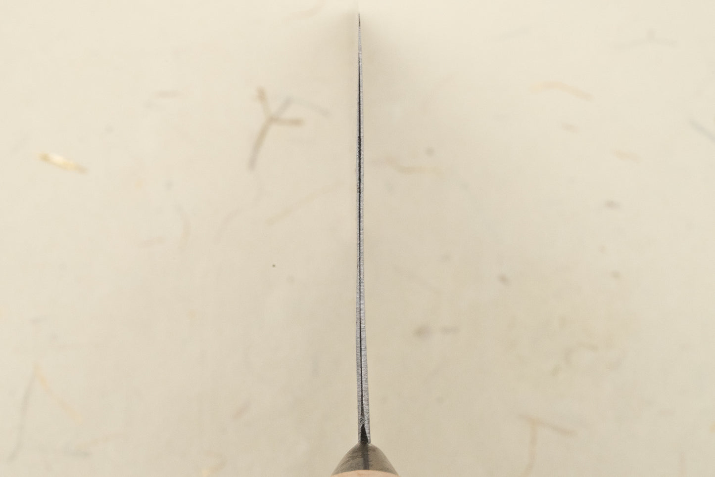 CCK Cleaver "Shibata Special" Tall Bunka 200mm from Chan Chi Kee (CCK)