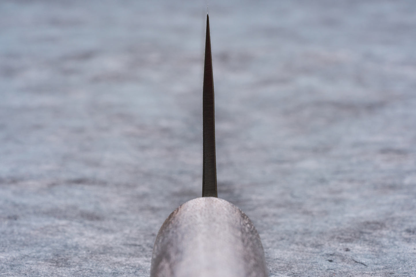 Fujimoto Nashiji Gyuto 210mm