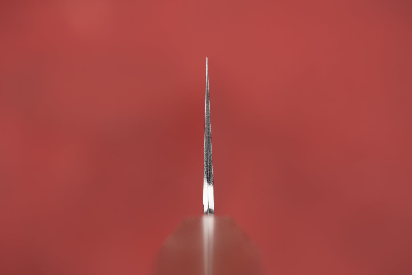 Hado Shiosai Kiritsuke Gyuto 210mm from Hado Sakai