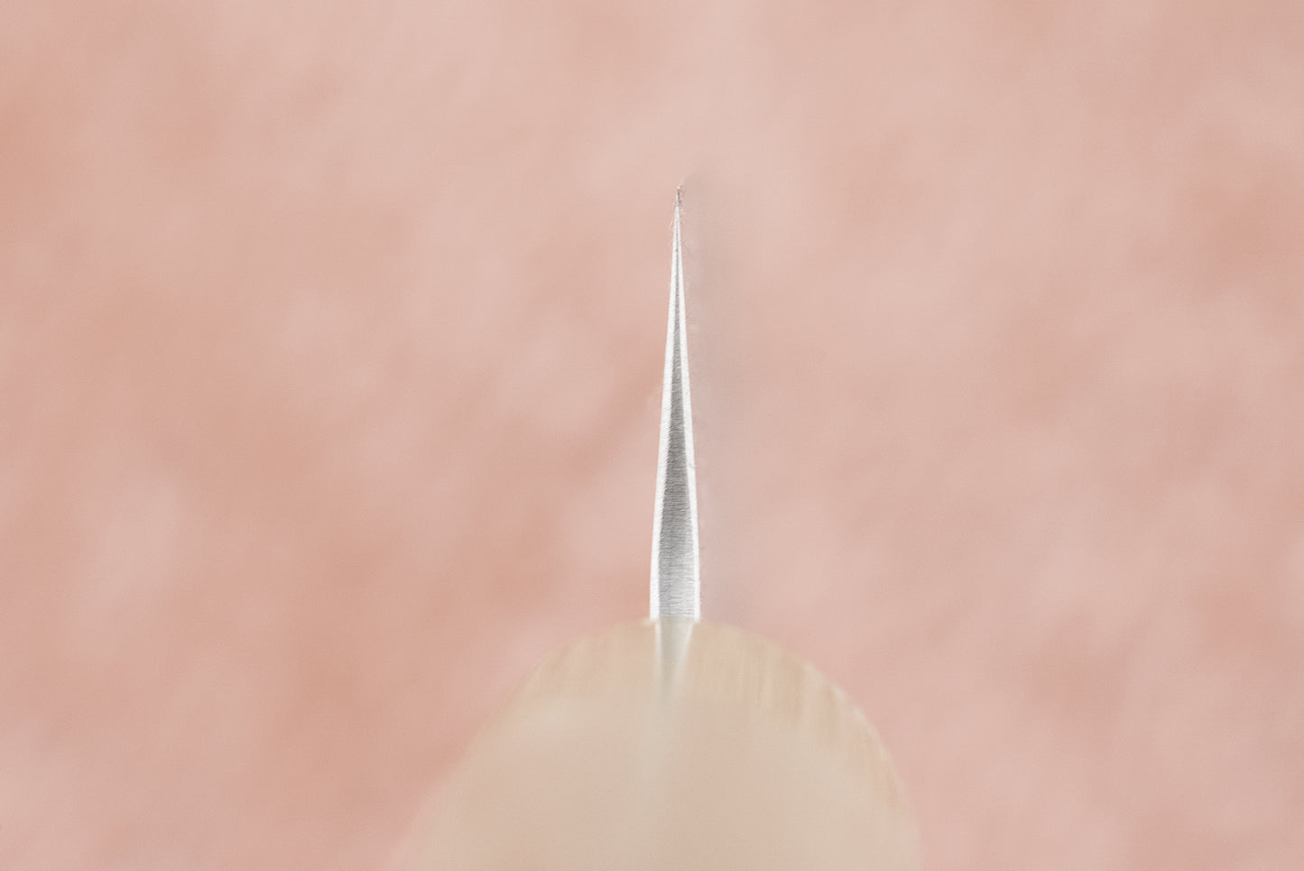 Haruyuki Nishiki Sujihiki 240mm from Haruyuki