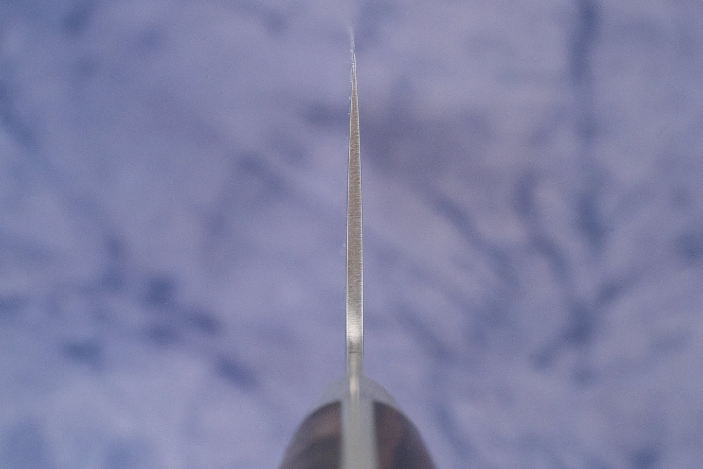 Hazaki Classic Black Gyuto 210mm from Hazaki