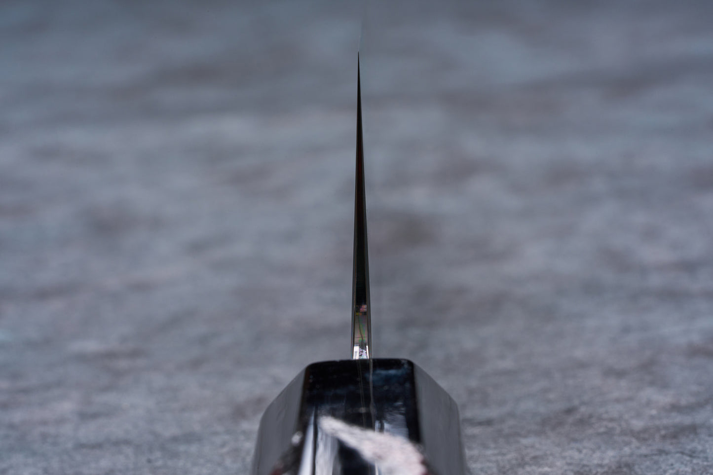 Naohito Myojin SG2 Gyuto 210mm