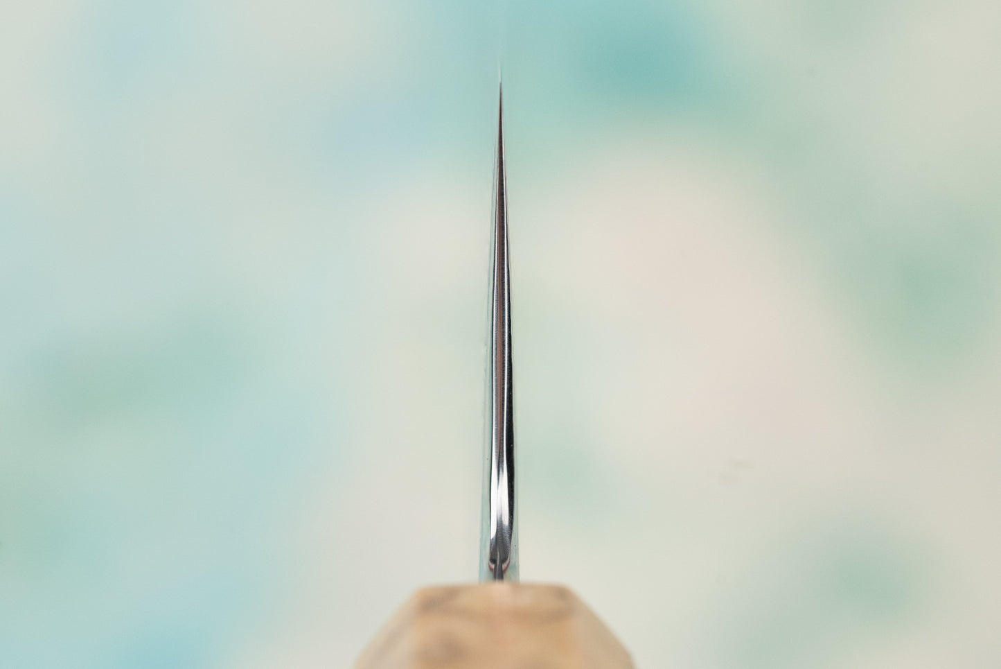 Ryusen Fukakuryu KAI Gyuto 210mm