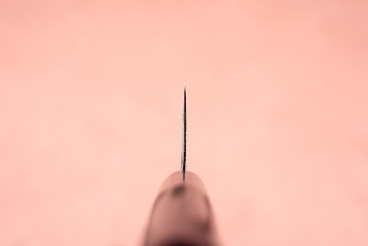 Sadamasa Aogami Stainless Migaki Kiritsuke Santoku 165mm from Sadamasa