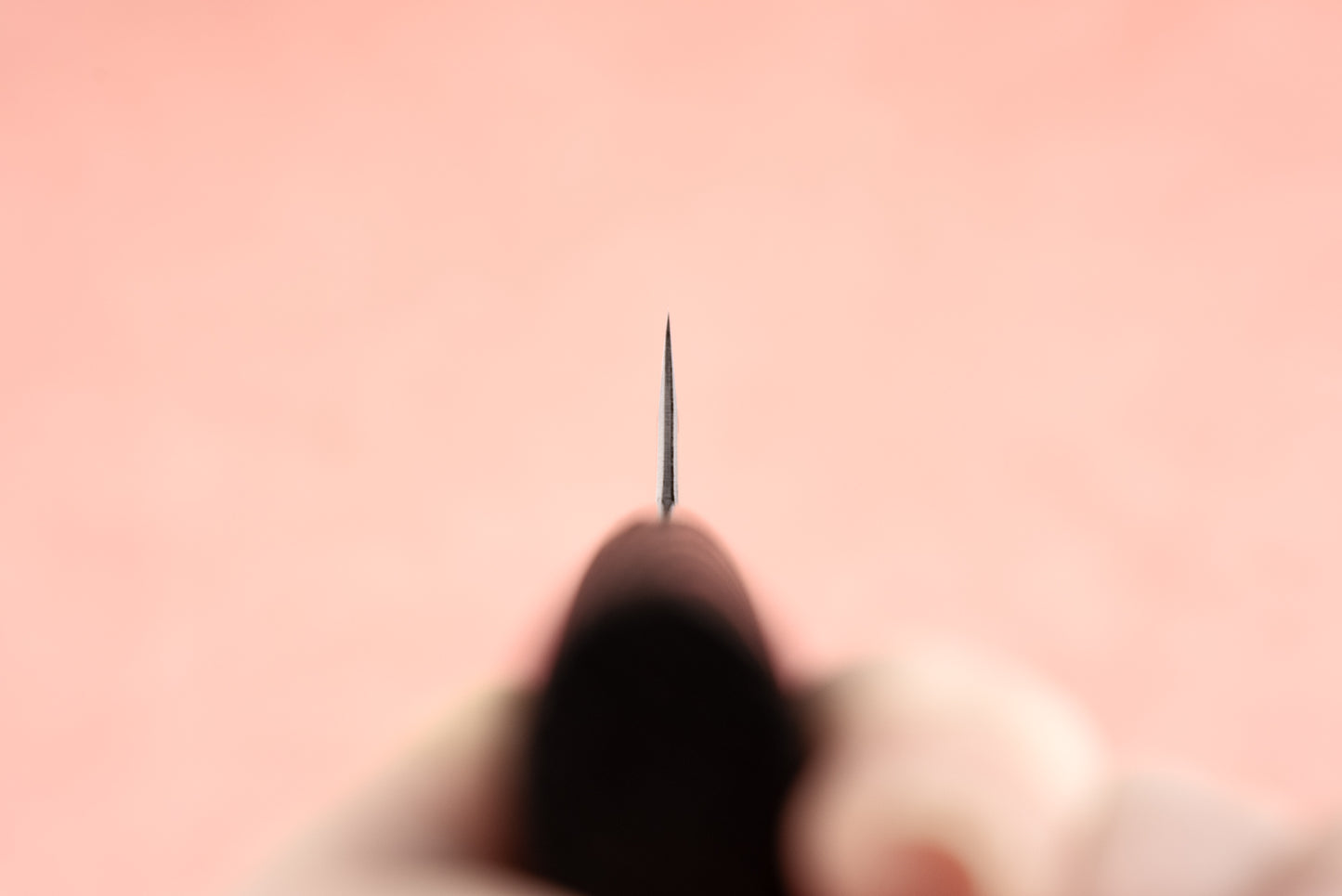 Sadamasa Aogami Stainless Migaki Kiritsuke Petty 135mm from Sadamasa