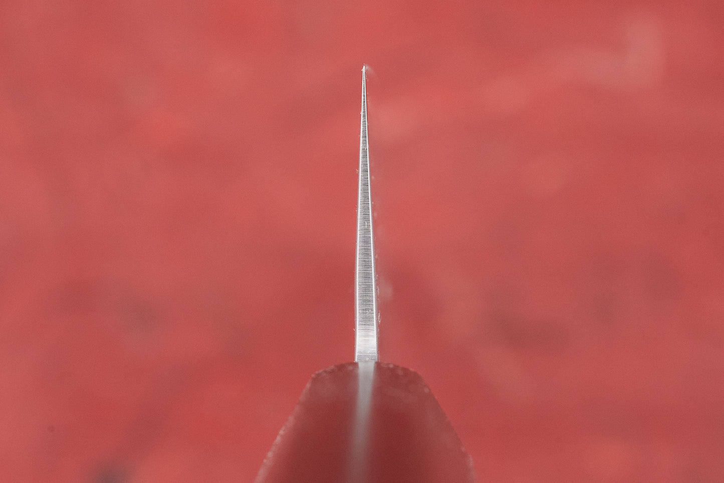 Sakai Takayuki VG10 Nashiji Gyuto 210mm from Sakai Takayuki