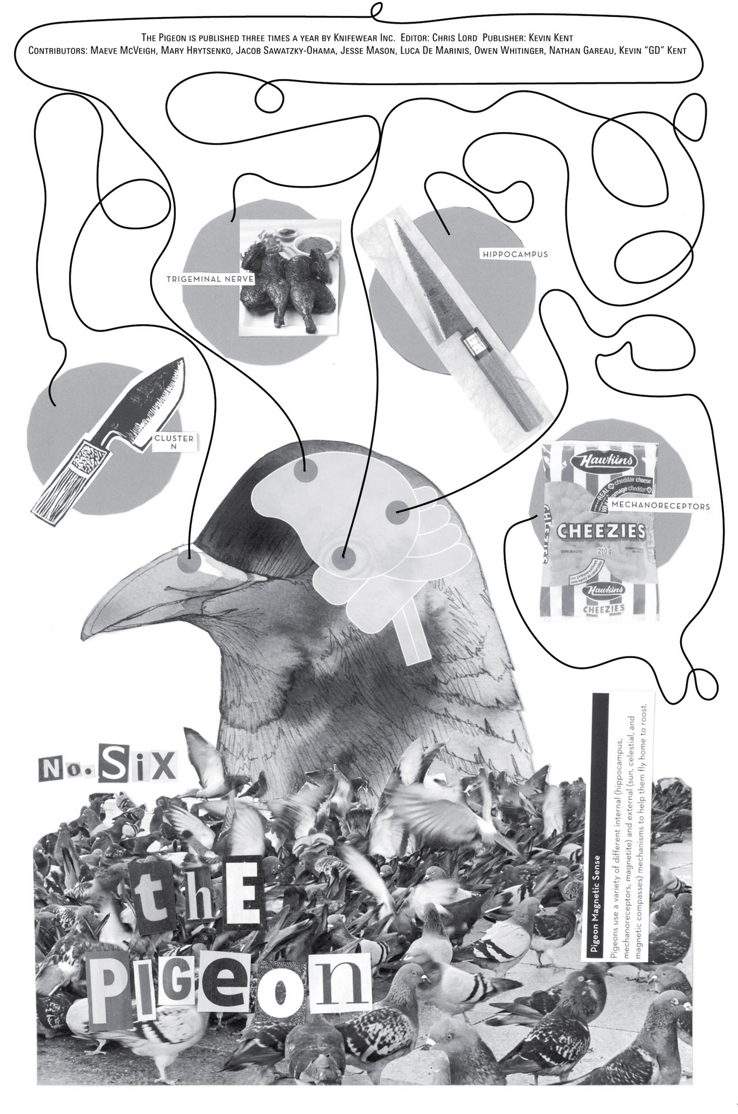 The Pigeon from Knifewear Merch