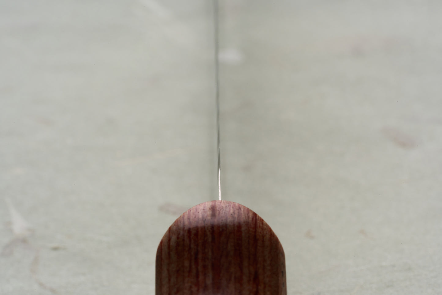 TOJIRO Bread Slicer 235mm F-737 blade viewed lengthwise, showcasing its sharp, serrated edge and wooden handle, perfect for slicing bread effortlessly.