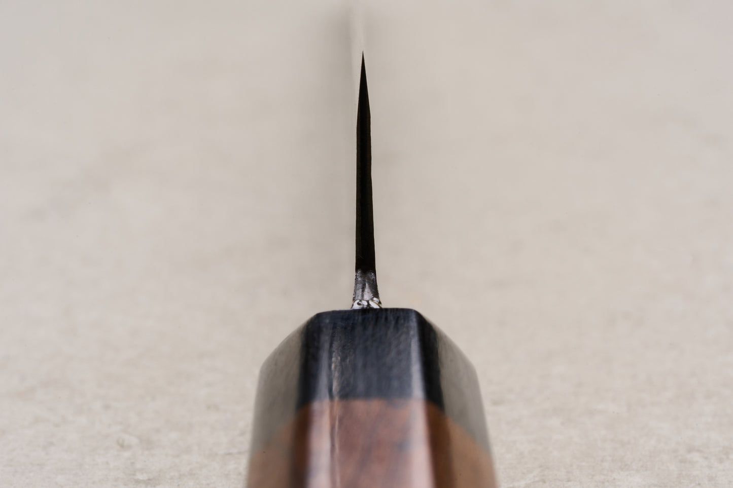 Takeda NAS Sujihiki Medium 210mm