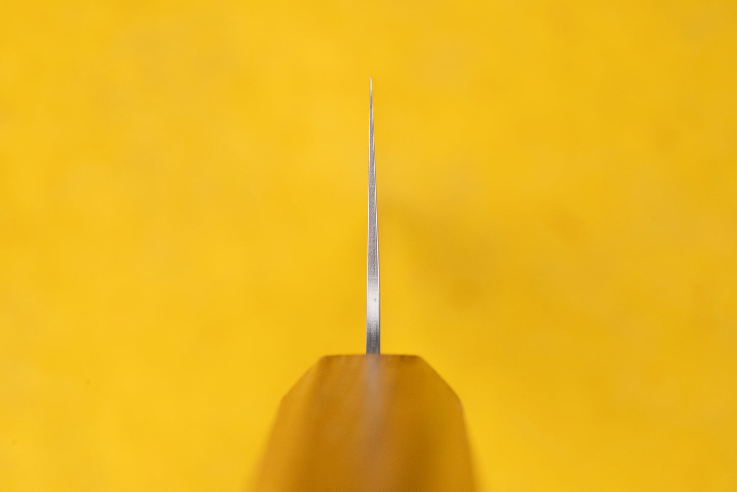 TOJIRO Reppu Kiritsuke Gyuto 210mm from Tojiro