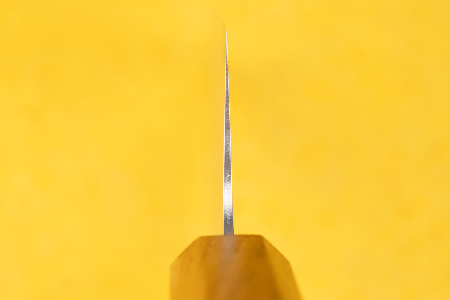 TOJIRO Reppu Kiritsuke Santoku 170mm from Tojiro