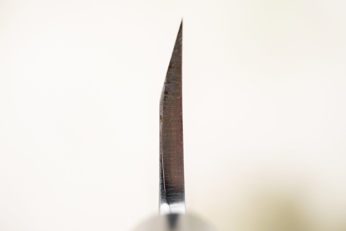 Sakai Takayuki Tokujo Shirogami Deba 165mm from Sakai Takayuki