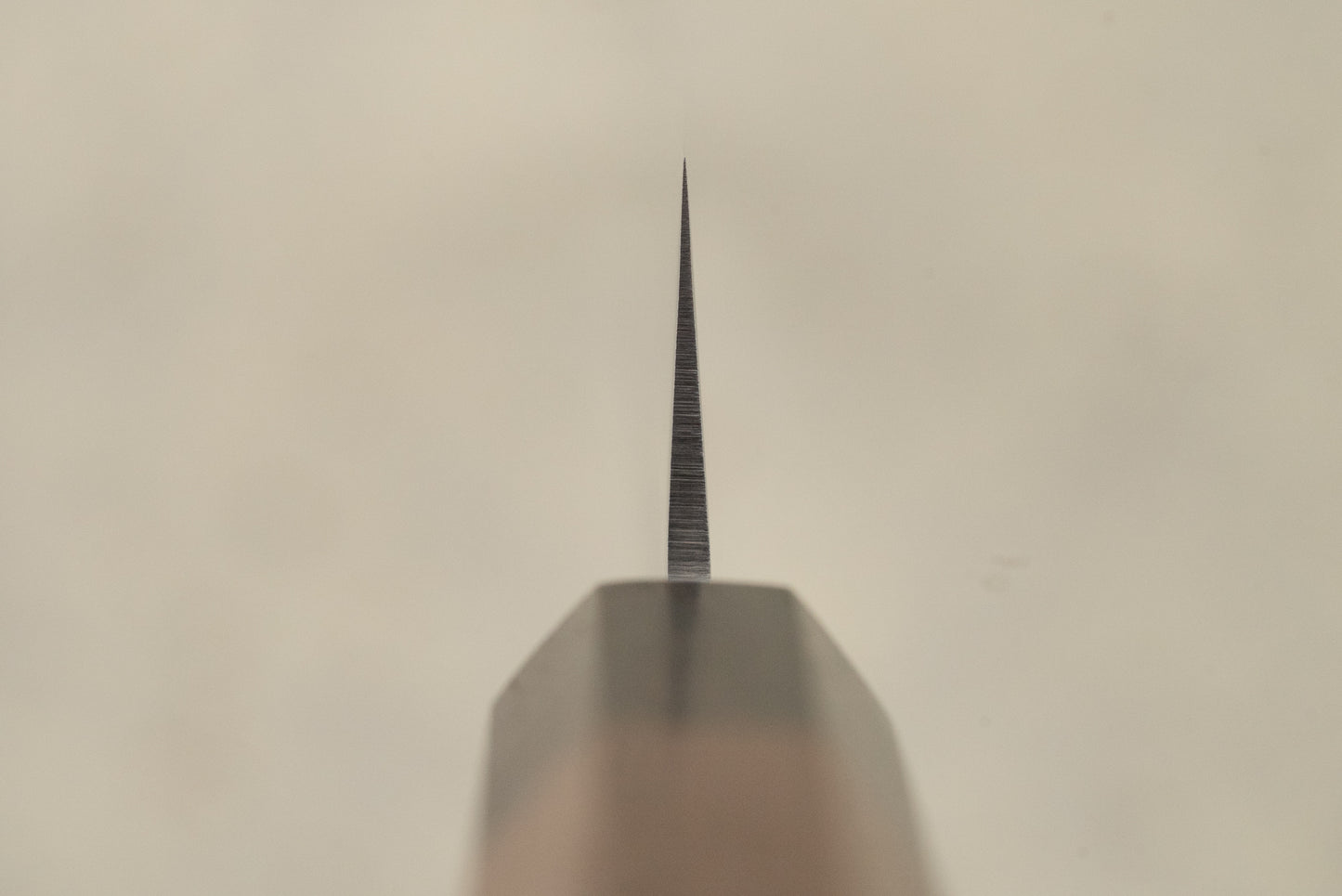 Toroku Sakai Yukage Sujihiki 240mm