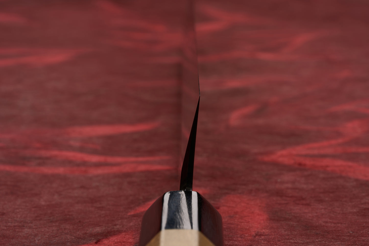 Touroku Sakai Tohwa Shirogami Yanagiba 300mm knife, captured from the edge perspective, showcasing its precise, single-bevel blade and part of its wooden/black handle against a textured red background.