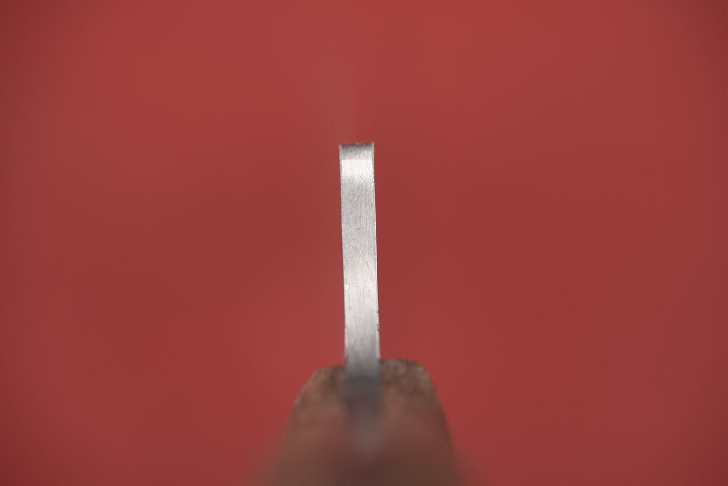 Diced Knives Fisher / Butcher 205mm from Diced Knives