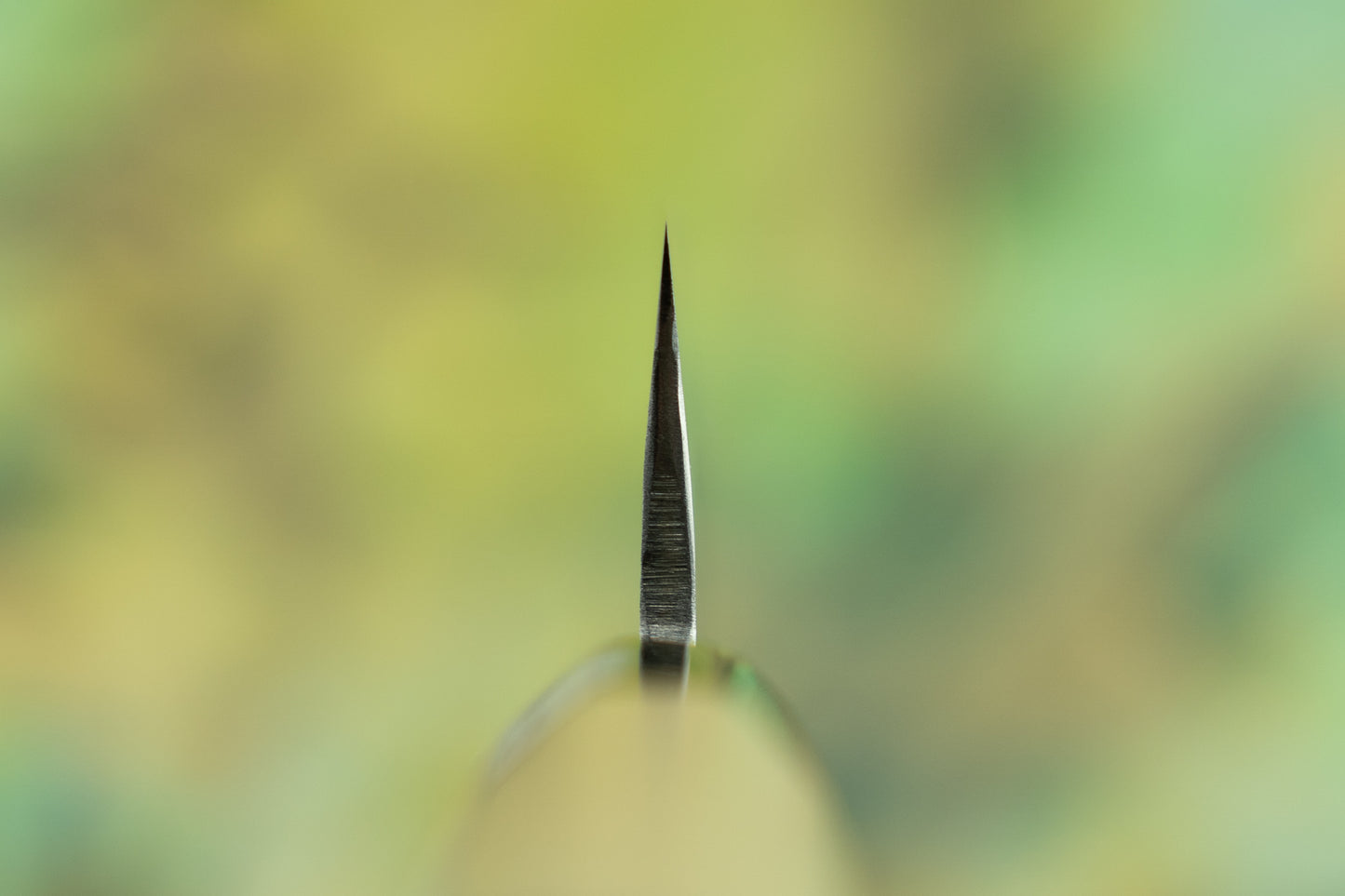 Fujiwara Wa Denka Petty 120mm from Teruyasu Fujiwara