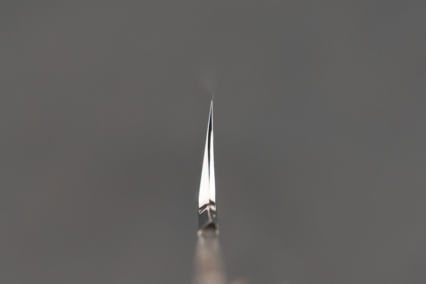 Genkai Masakuni Shiroichi Mizu Honyaki So-Kyomen Fujigakari Sakimaru Takohiki 300mm from Genkai Masakuni