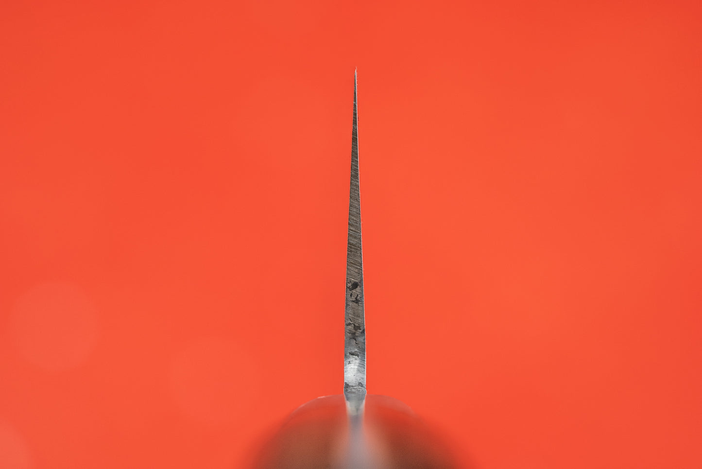 Haruyuki Goma Gyuto 210mm from Haruyuki