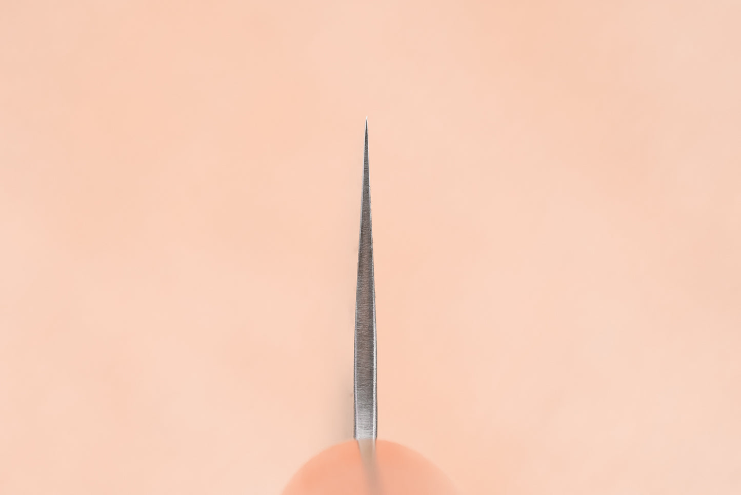 Haruyuki Nishiki Gyuto 210mm from Haruyuki