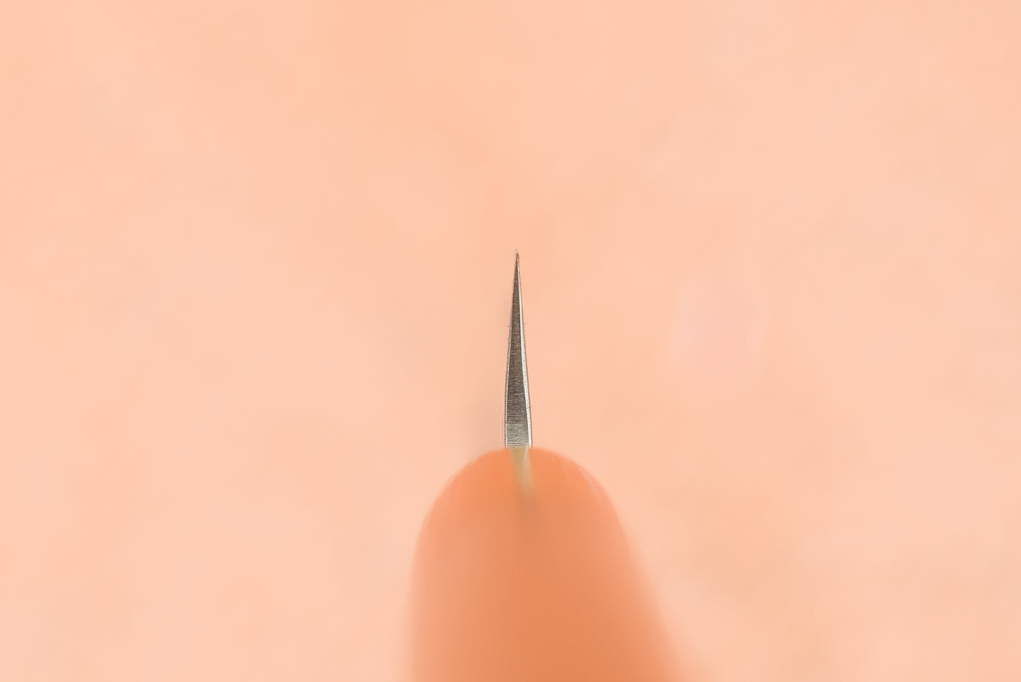 Haruyuki Nishiki Petty 135mm from Haruyuki