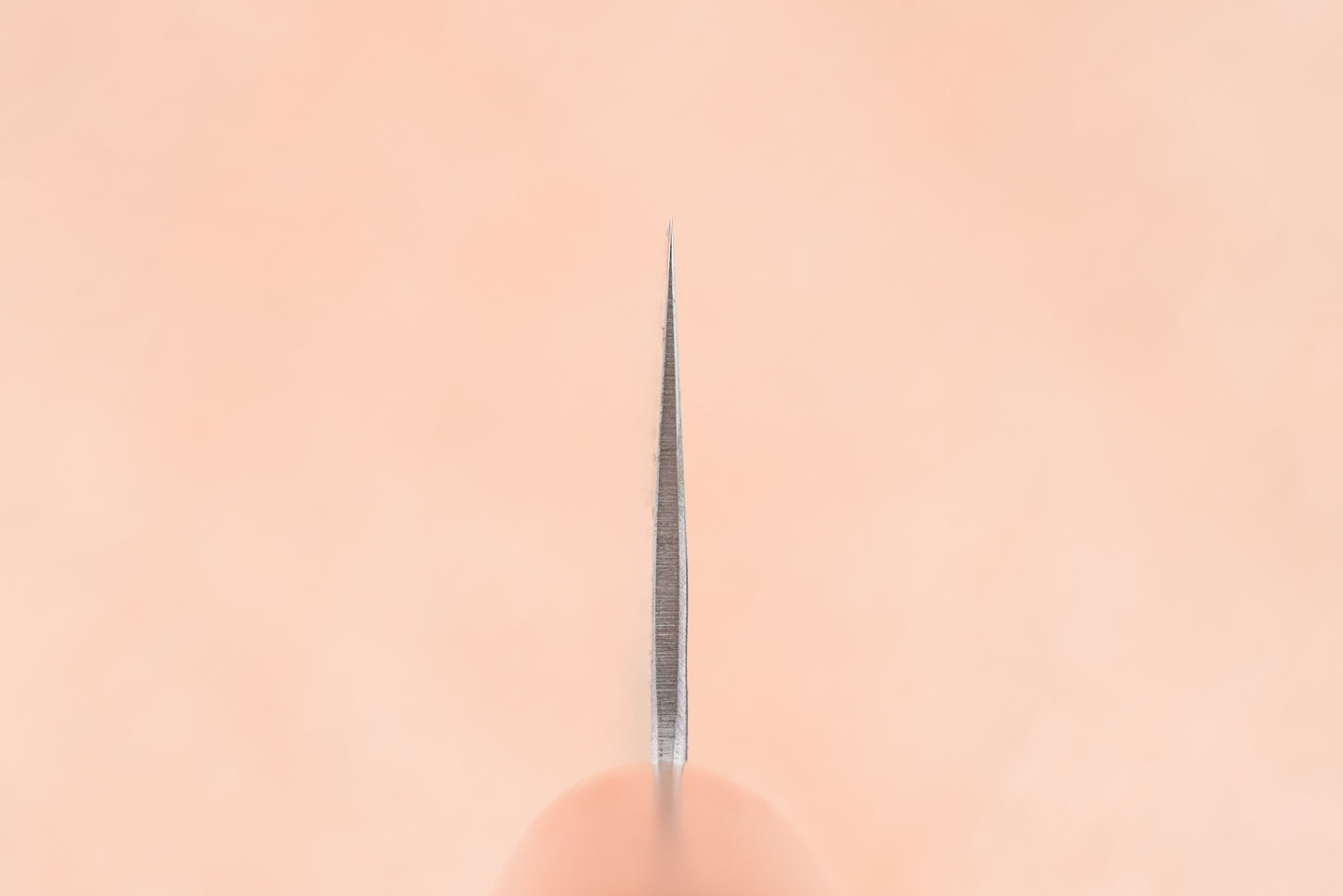 Haruyuki Nishiki Santoku 165mm from Haruyuki