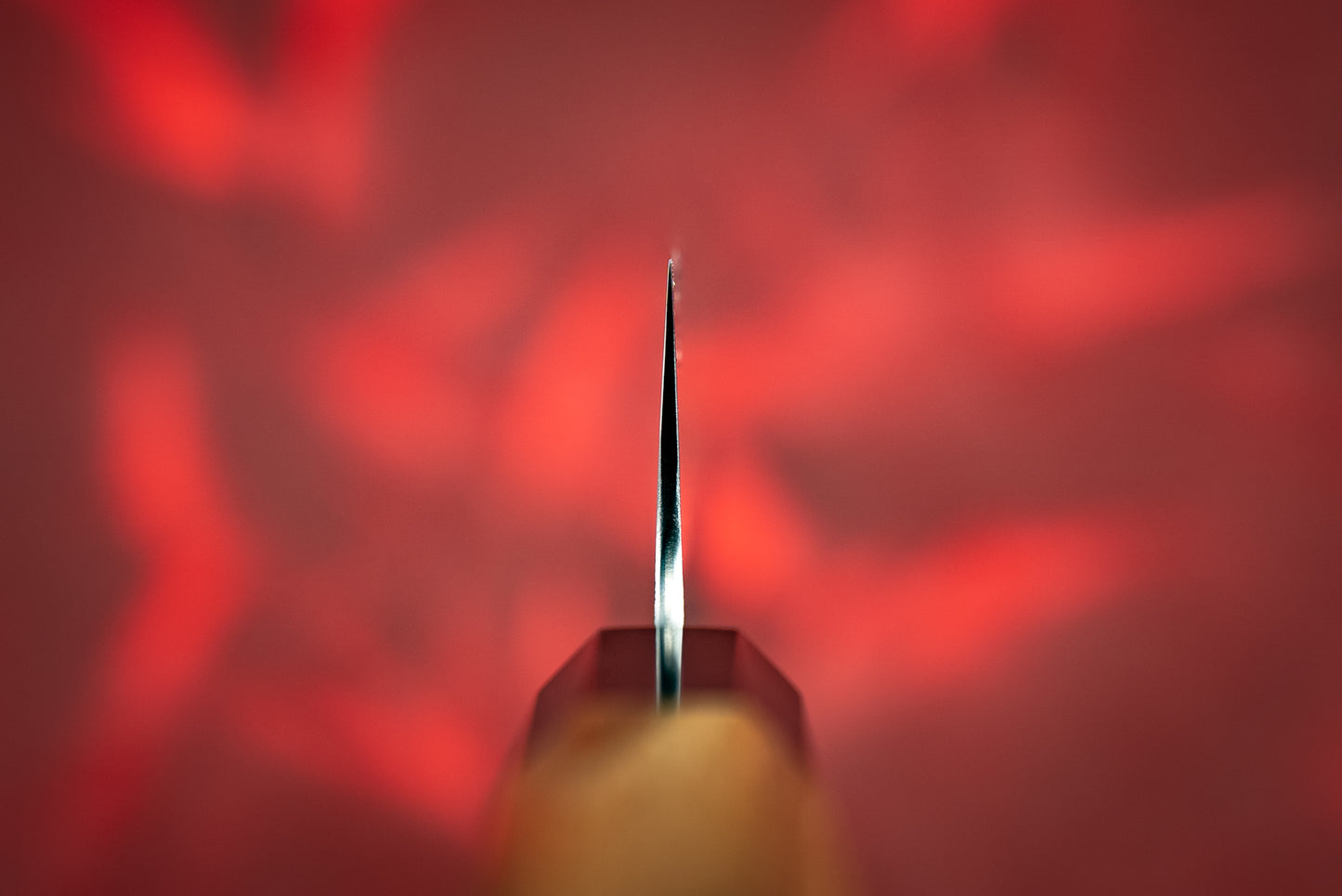 Hatsukokoro Inazuma AS Kiritsuke 210mm from Hatsukokoro