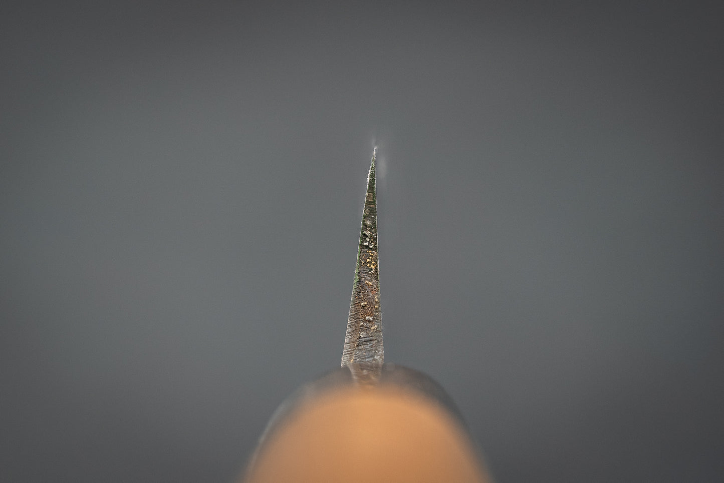 Ken Kageura Aogami Damascus Single Bevel Kataba Bocho 325mm from Ken Kageura