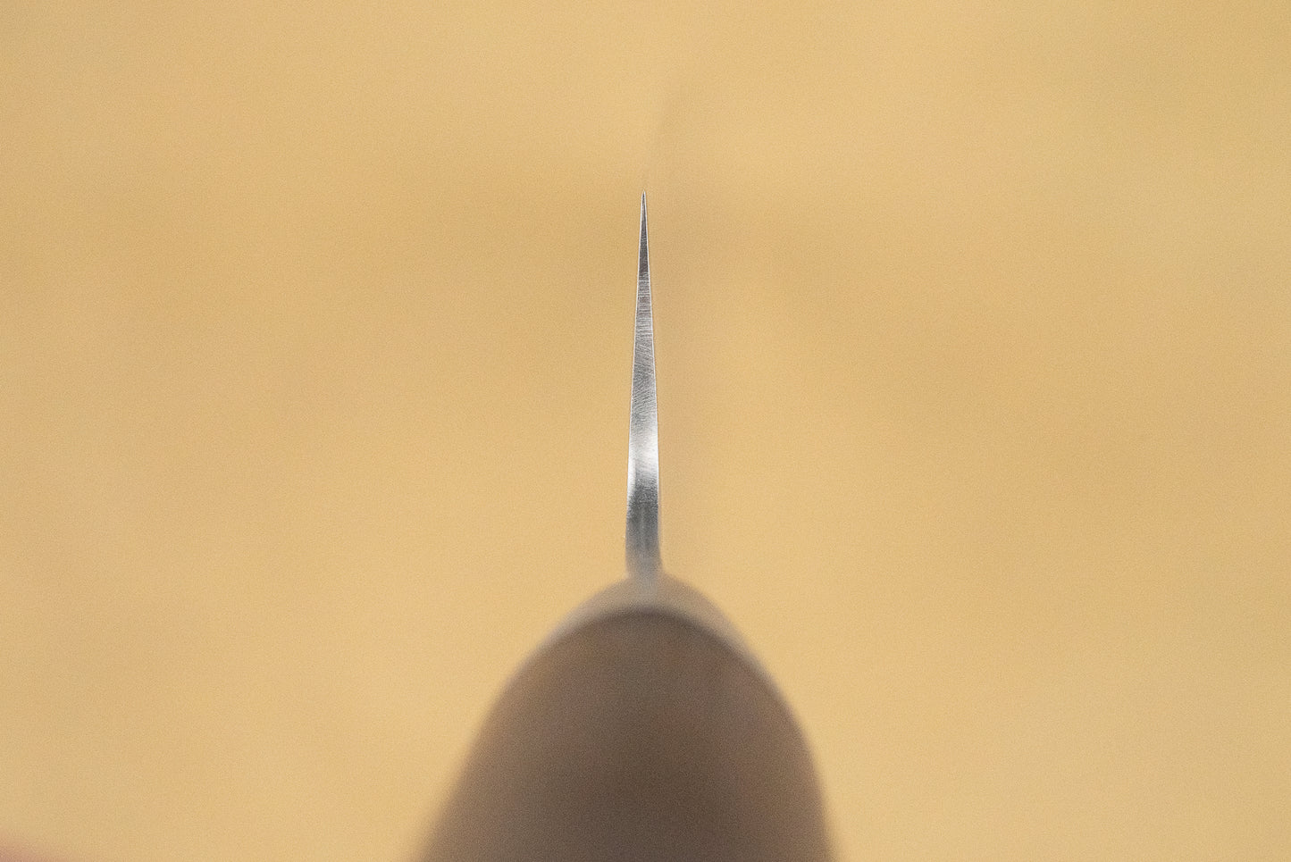 Shizu Hamono Shikisai Miyako Sujihiki 240mm from Shizu Hamono