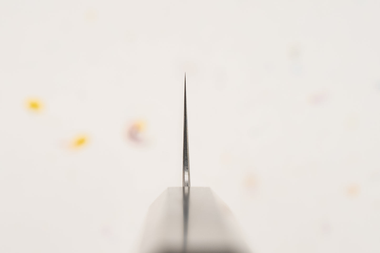 Naohito Myojin Cobalt Special Bunka 180mm from Naohito Myojin