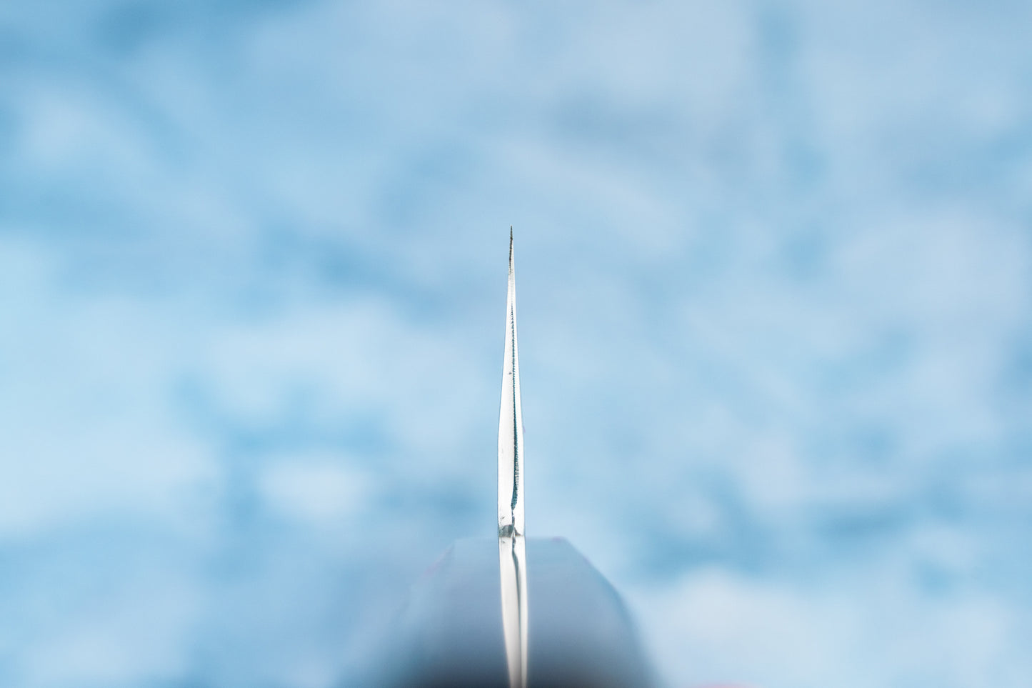 Satoshi Nakagawa Hatsukokoro Aoichi Damascus Shinogi Kiritsuke Gyuto 210mm from Nakagawa Hamono