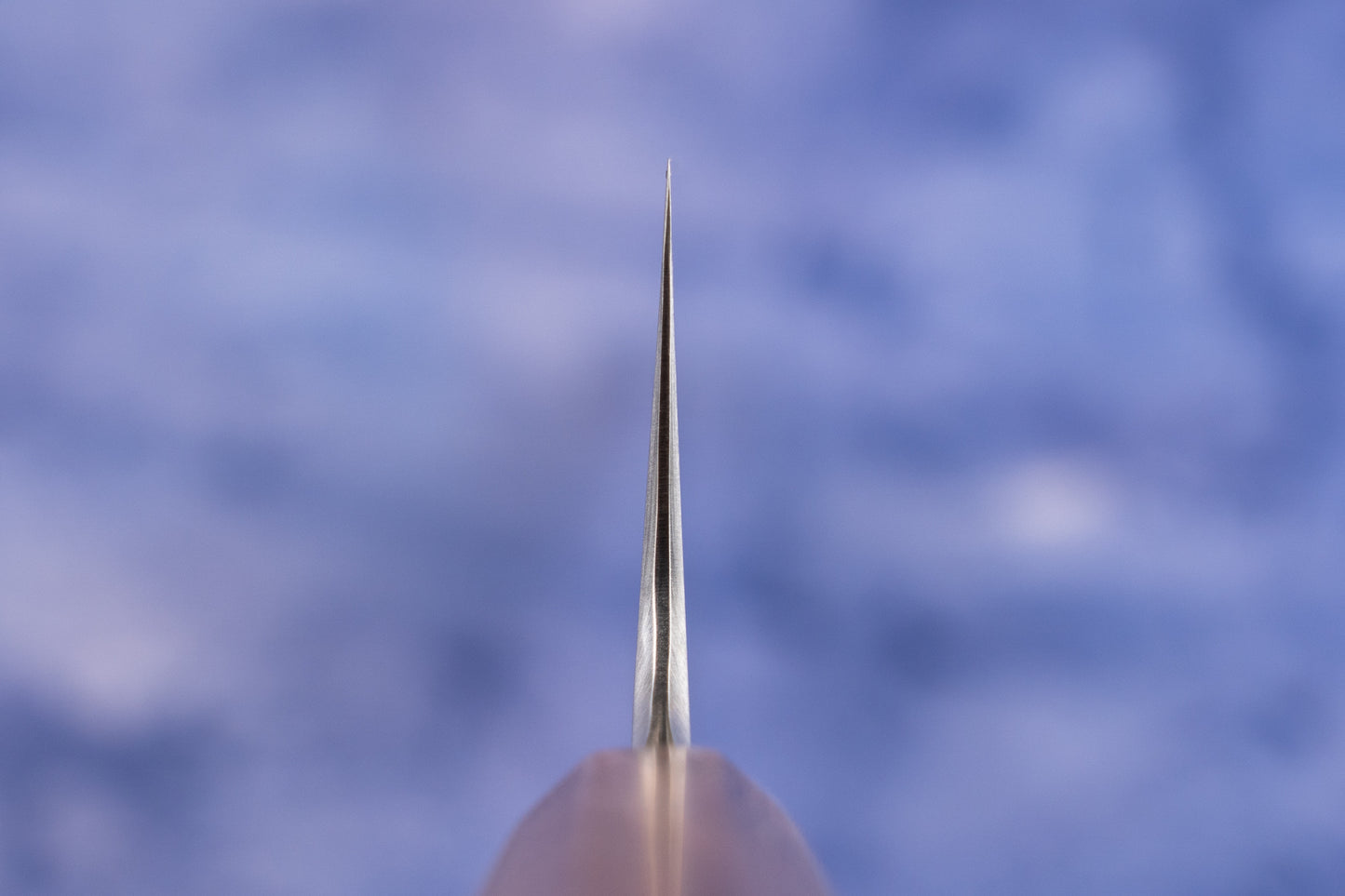 Ryusen Blazen Ryu Wa Gyuto 240mm from Ryusen