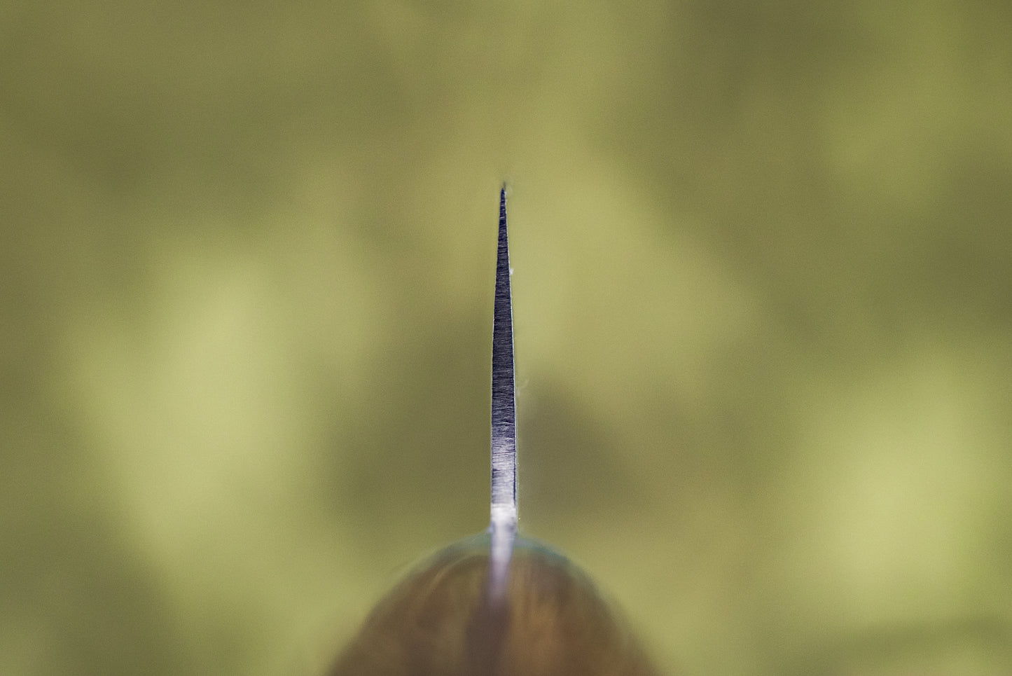 Tamahagane San Petty 150mm SN-1107 from Tamahagane