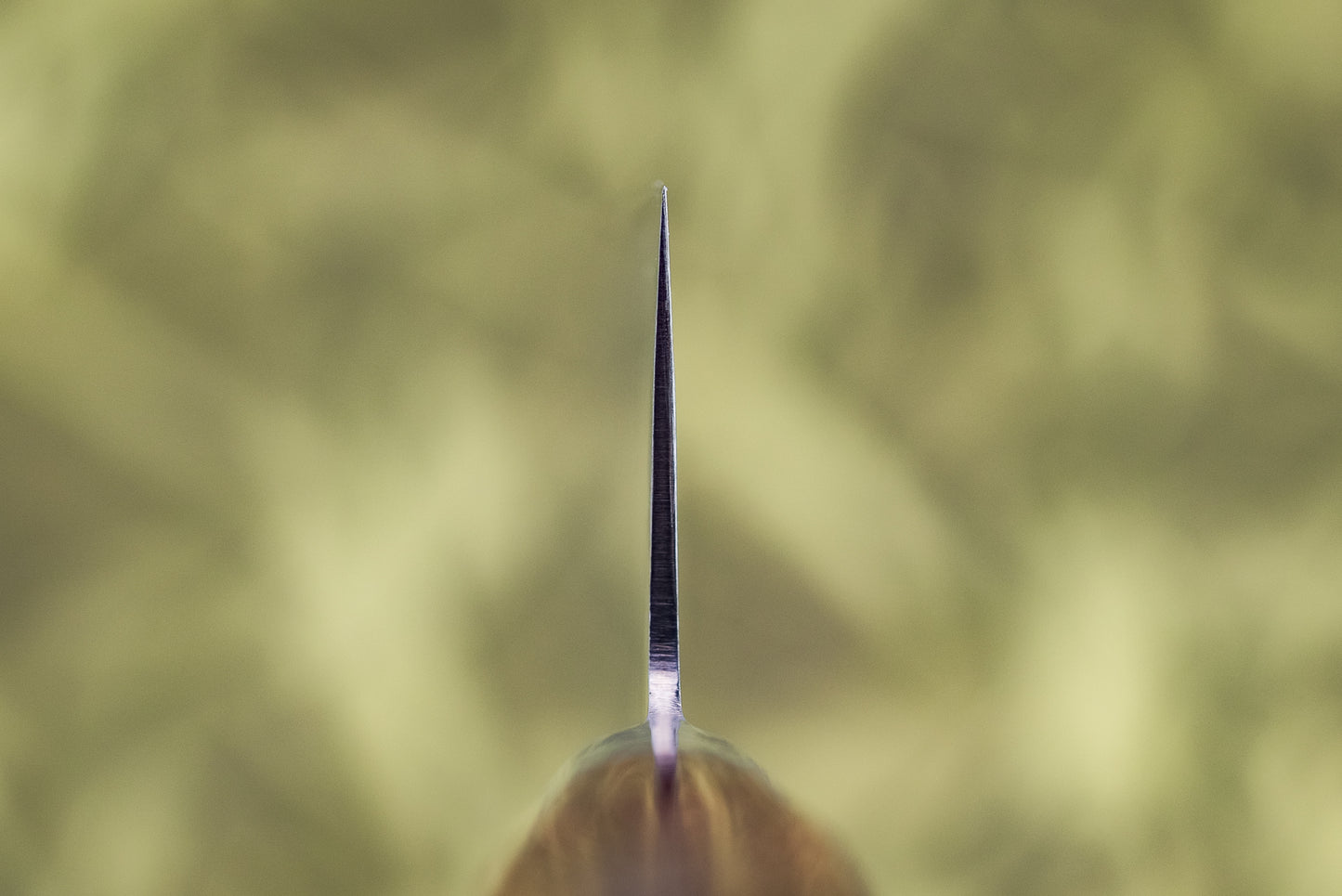 Tamahagane San Gyuto 240mm SN-1104 from Tamahagane