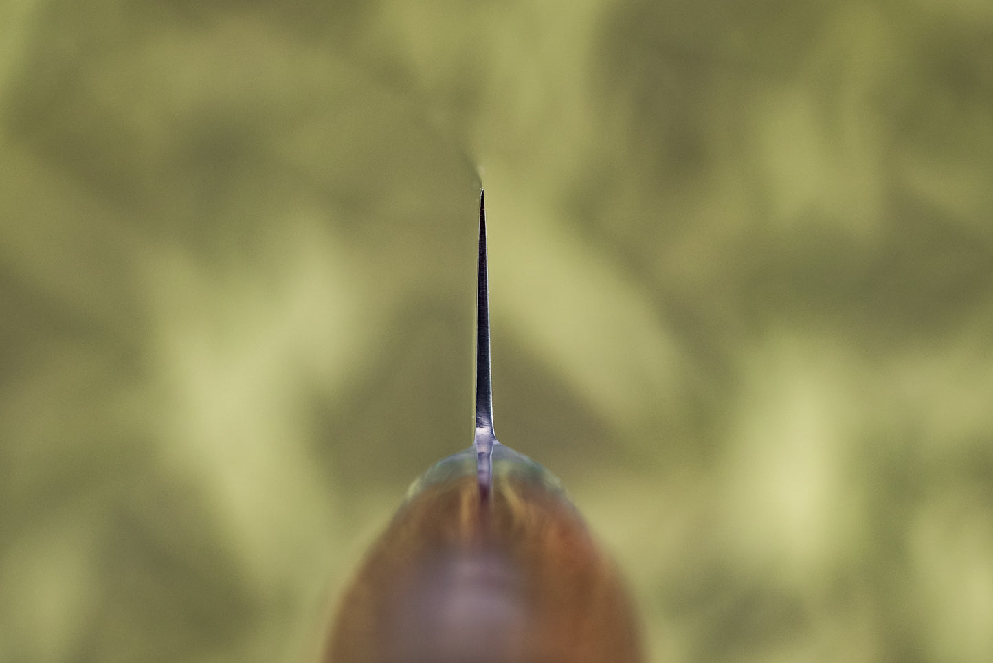 Tamahagane San Sujihiki 240mm SN-1113 from Tamahagane