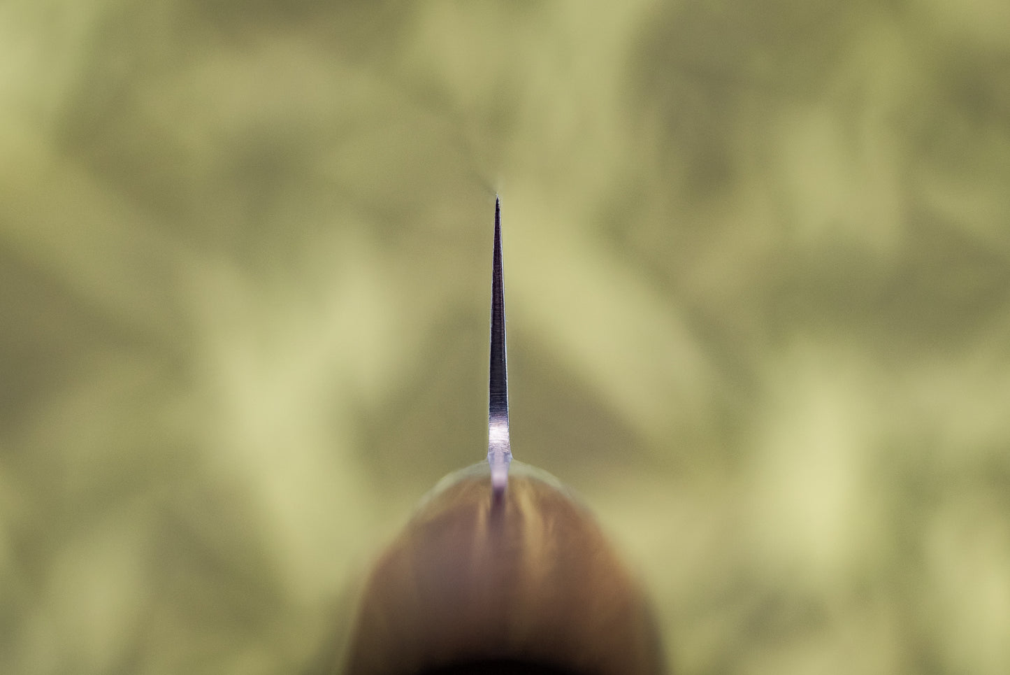 Tamahagane San Sujihiki 270mm SN-1112 from Tamahagane