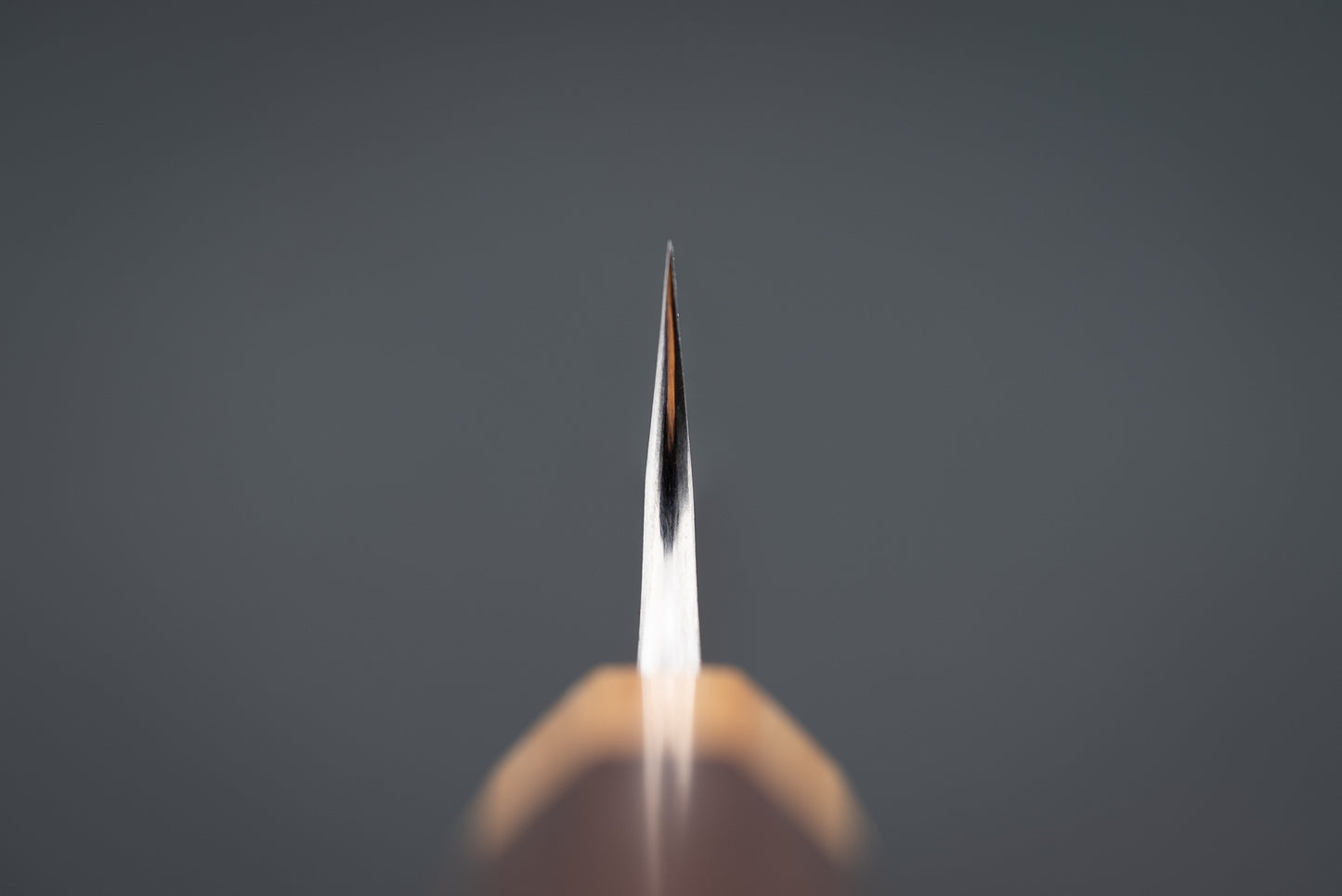 Shibata Tinker Sabre Teeth 210mm from Shibata Tinker