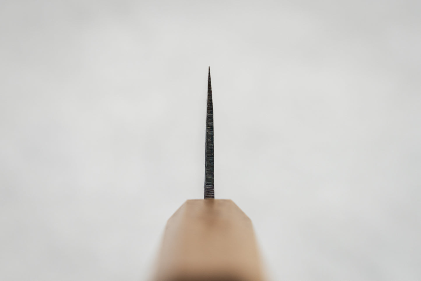 Tosa Tsukasa Shiroichi Kurouchi Gyuto 150mm from Tosa Tsukasa