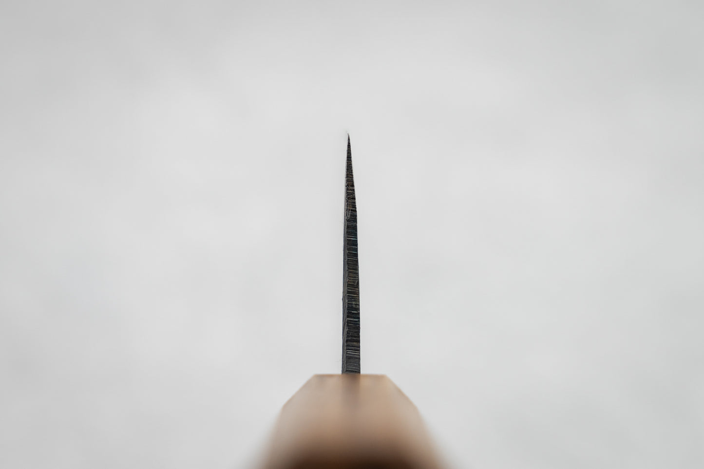 Tosa Tsukasa Shiroichi Kurouchi Nakiri 165mm from Tosa Tsukasa