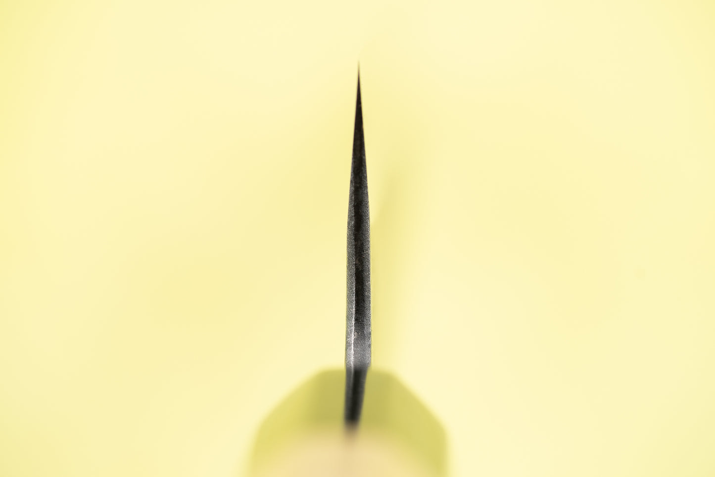 Toshihiro Wakui Aogami Honsanmai Kurouchi Nashiji Gyuto 210mm from Toshihiro Wakui