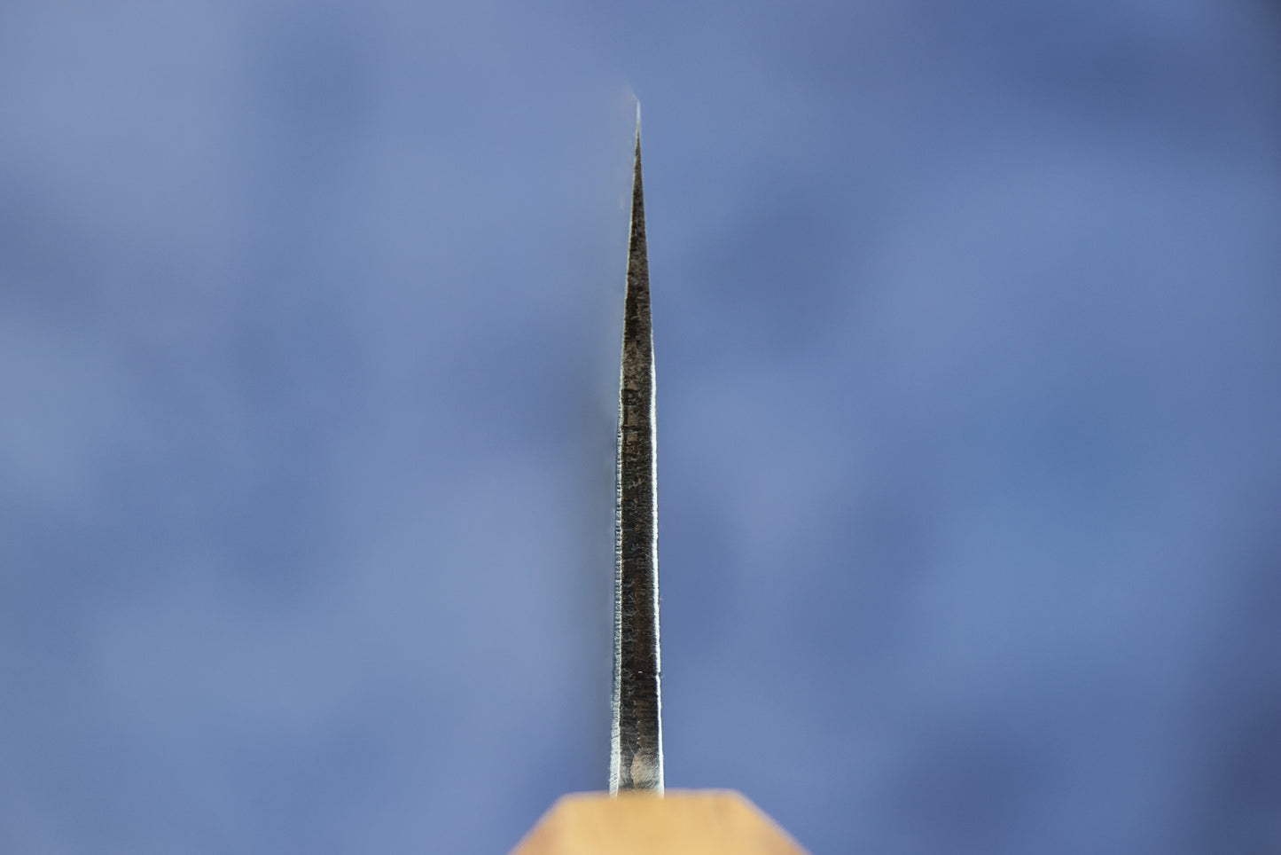 Fujimoto Kurouchi-Forged Gyuto 240mm from Fujimoto