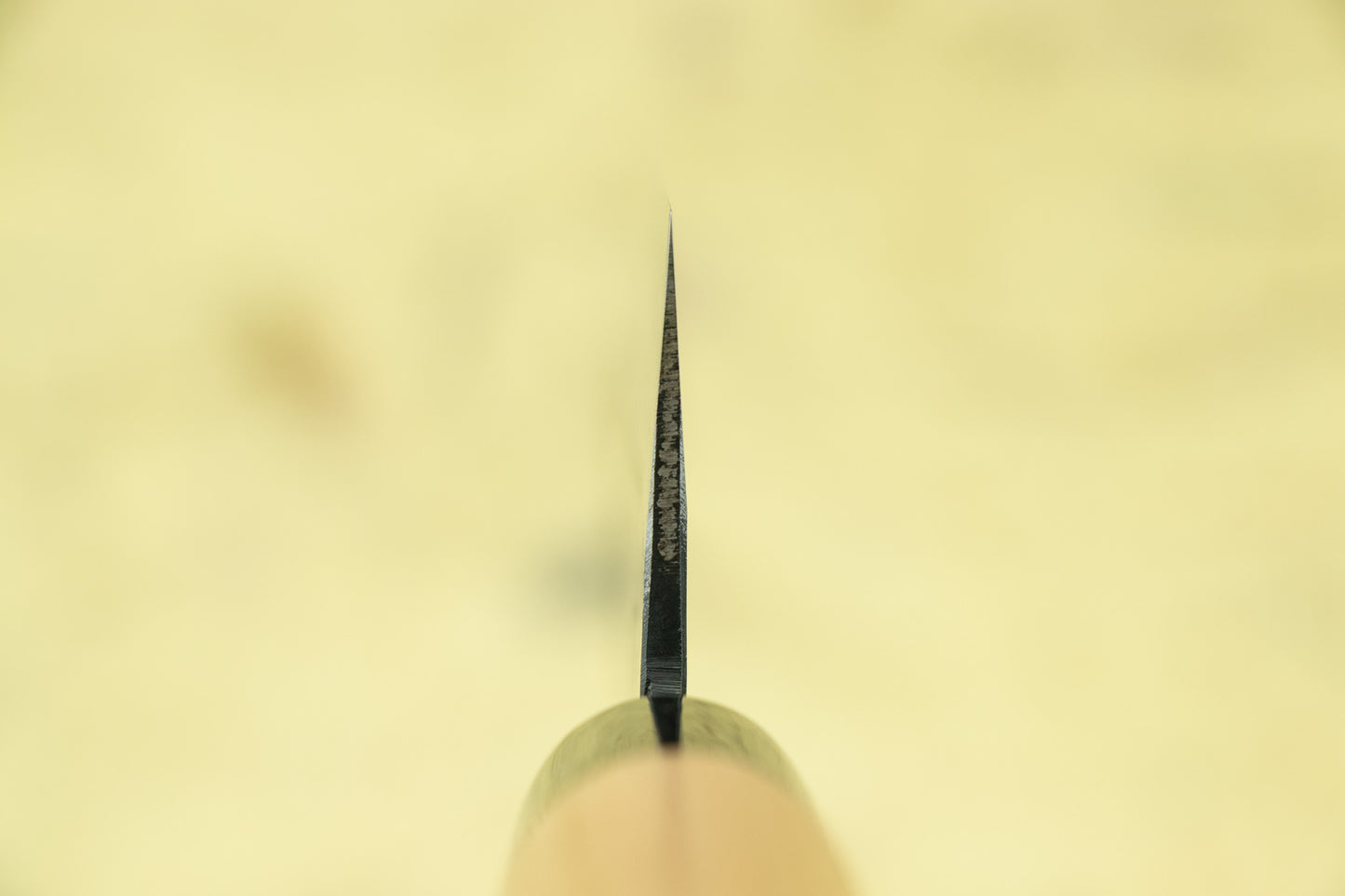 Yukihiro Sakai "Hinokuni" Shiroichi Gyuto 210mm from Yukihiro Sakai