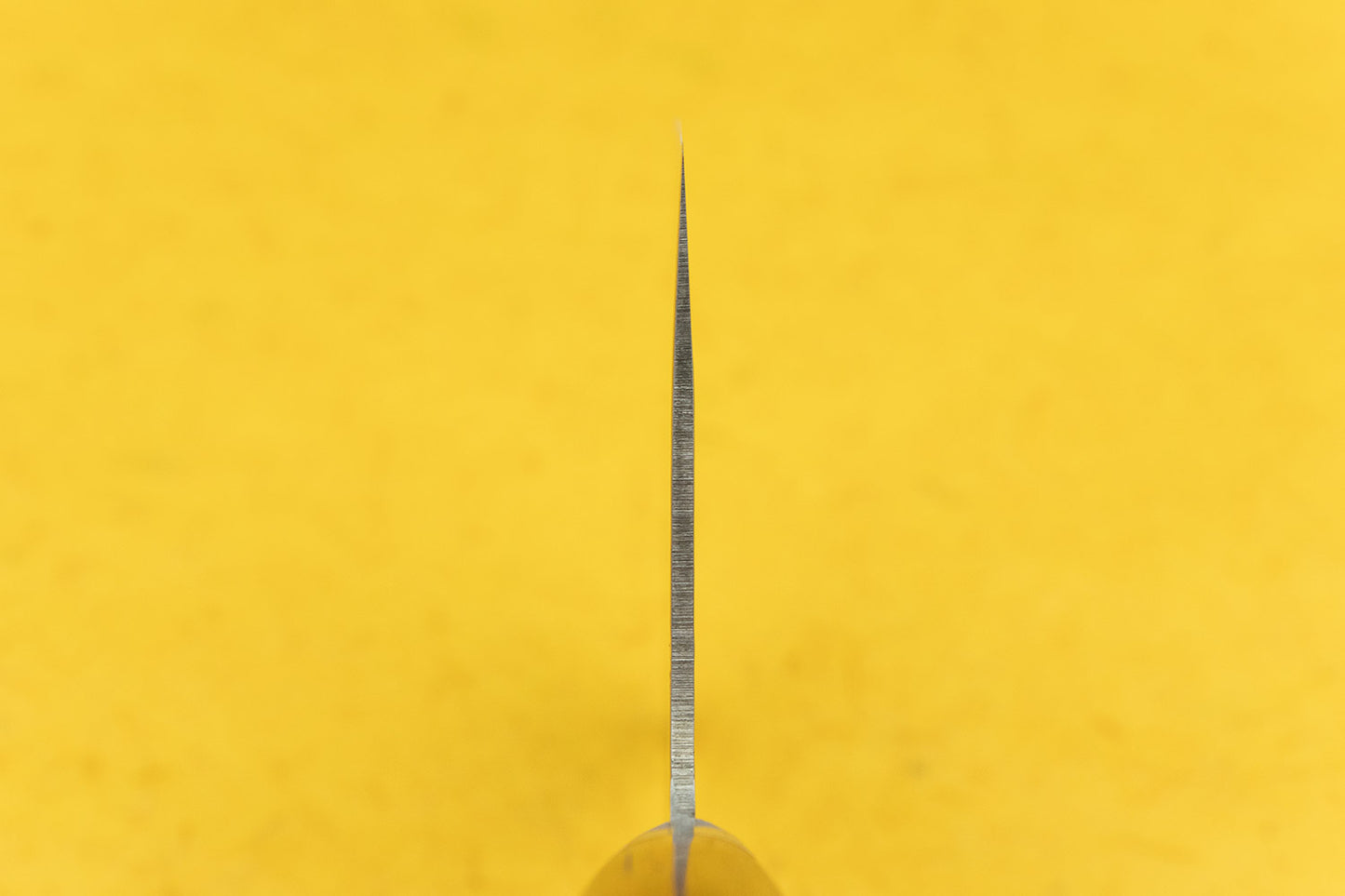 Sakai Takayuki VG10 33 Layer Damascus Western Handle Chinese Cleaver 195mm from Sakai Takayuki