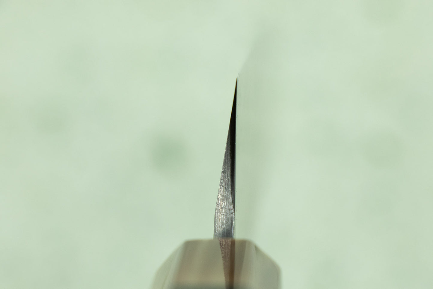 Nigara Anmon Aogami Damascus Sakimaru Takobiki 330mm from Nigara Hamono