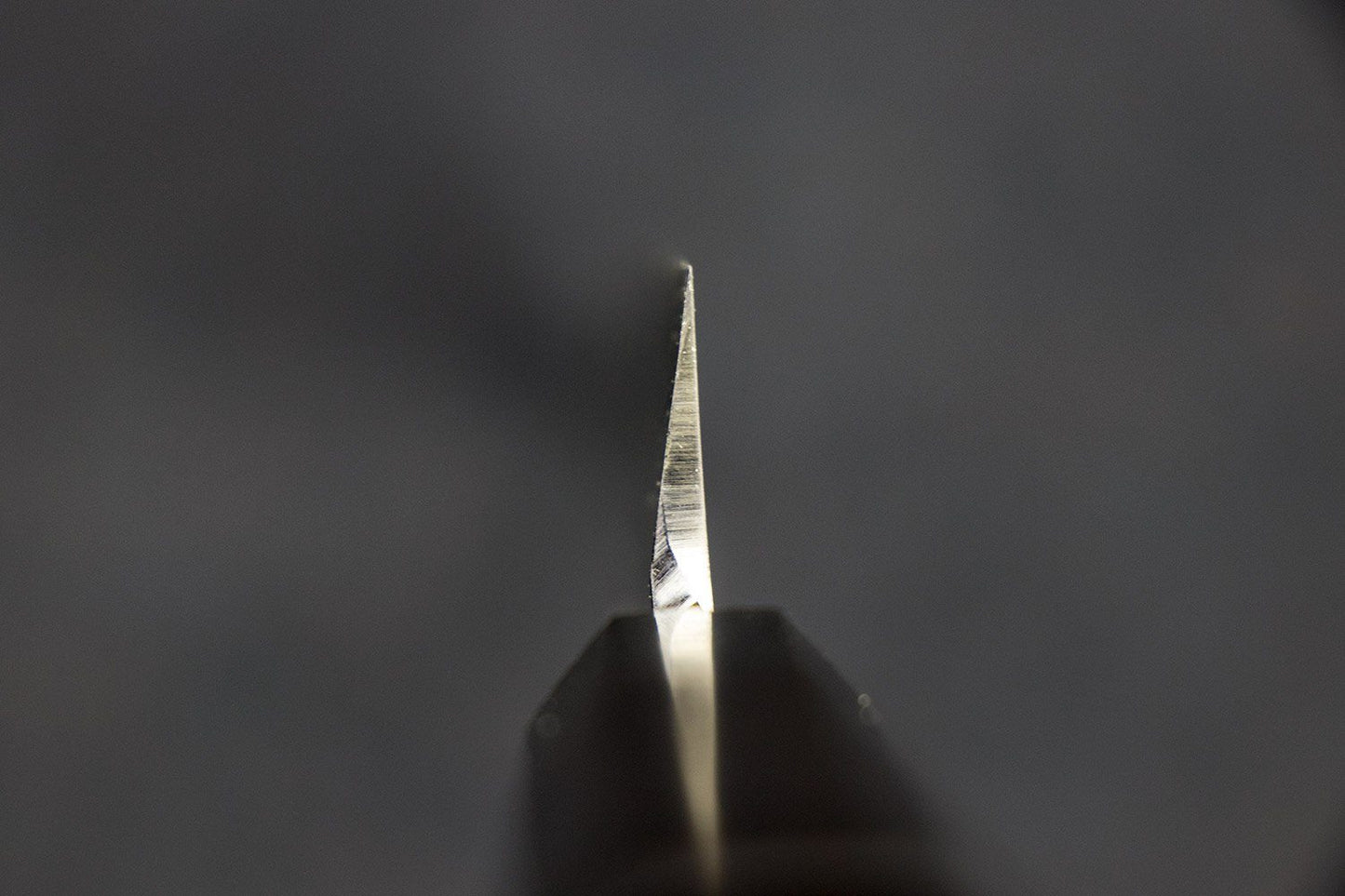 Sakai Takayuki Byakko Yanagiba 300mm from Sakai Takayuki