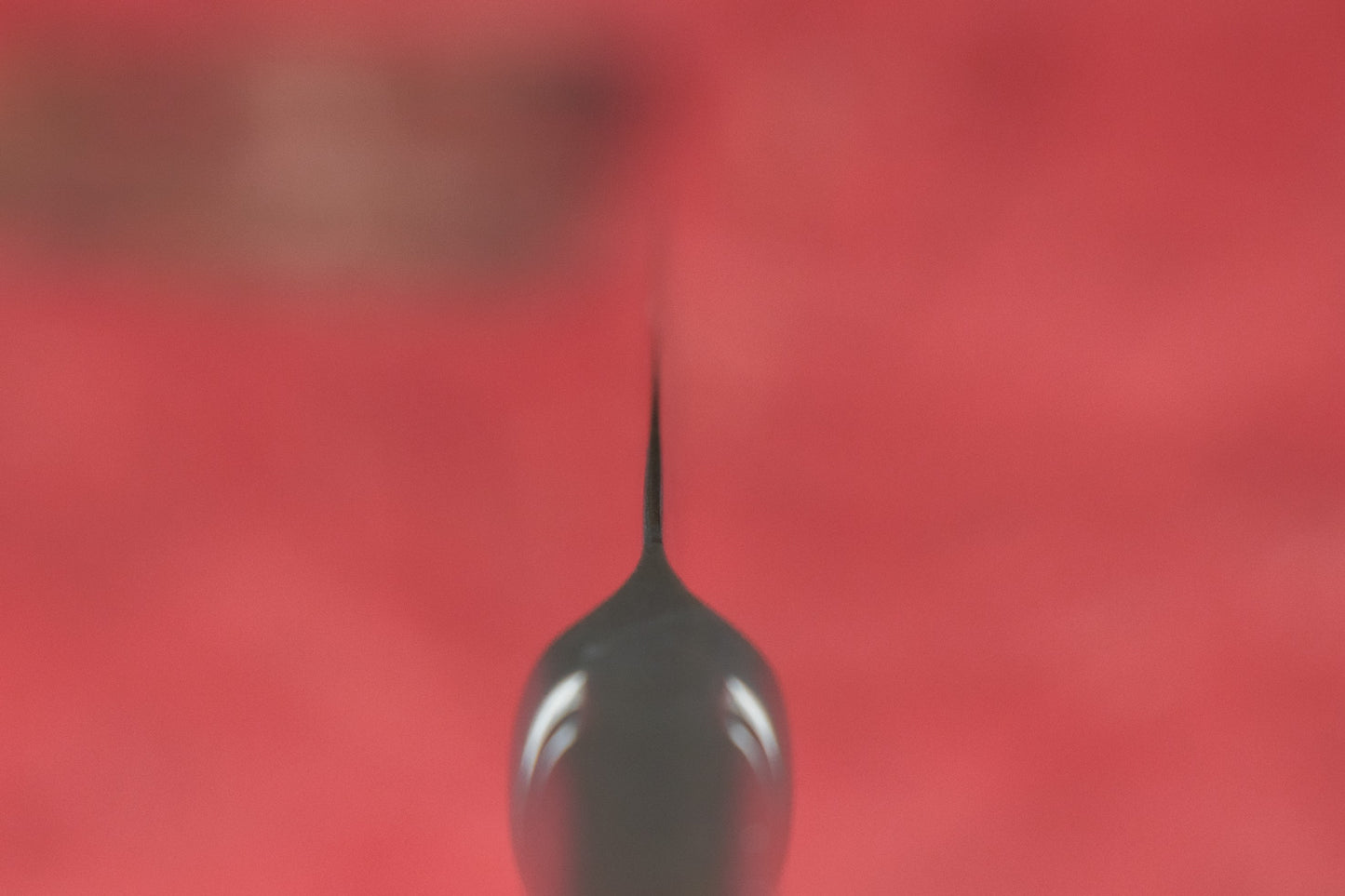 Tamahagane Steak 4pc Steak Knife Set SS-002 from Tamahagane