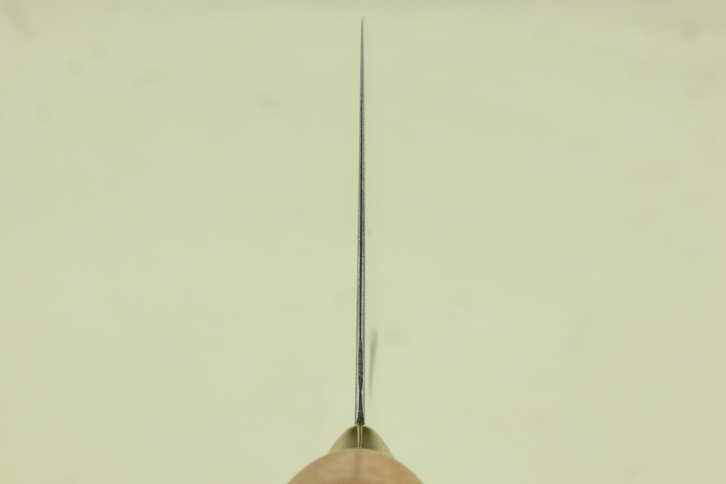 CCK Cleaver Stainless Steel Small Slicer 205mm - KF1912 from Chan Chi Kee (CCK)