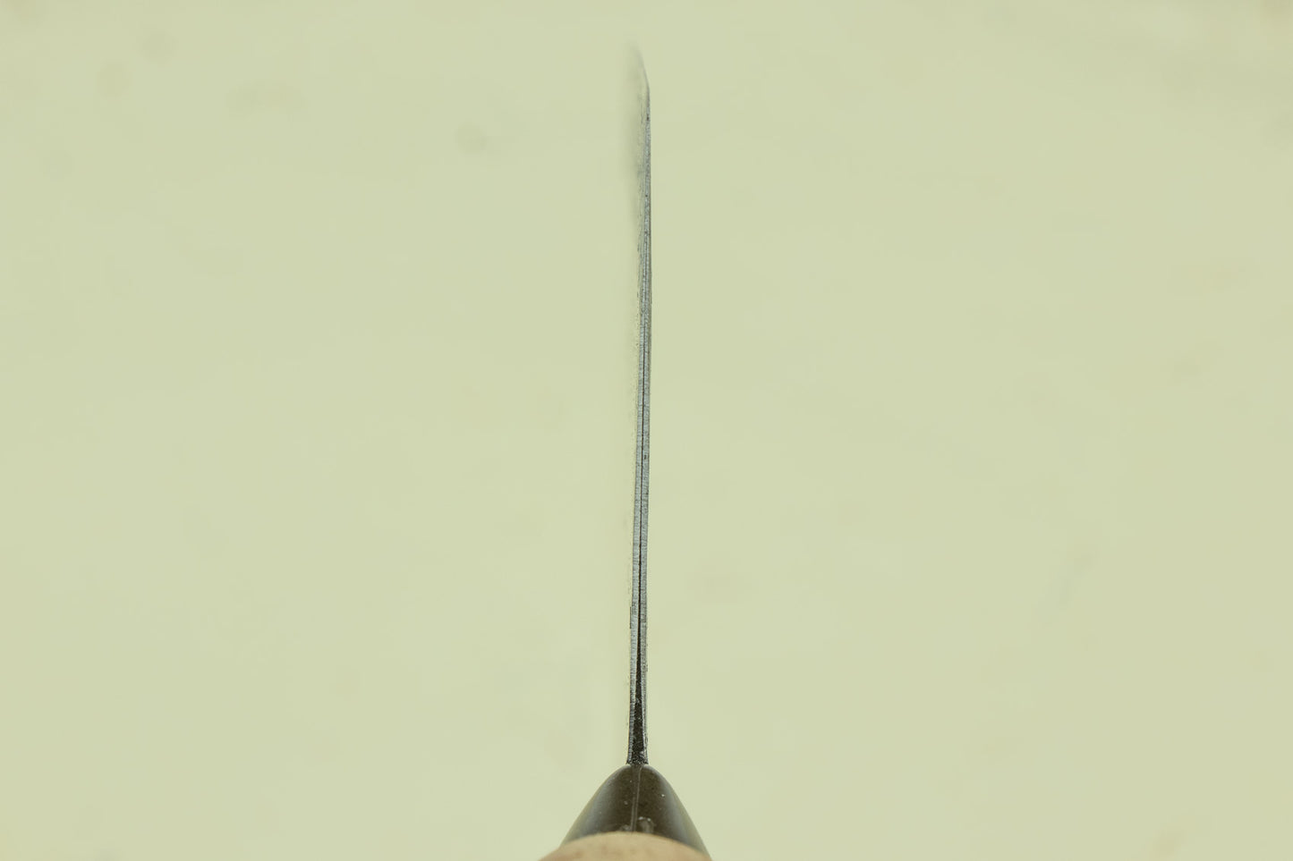 CCK Cleaver "Mulberry Knife" Small Slicer 210mm - KF1303 from Chan Chi Kee (CCK)