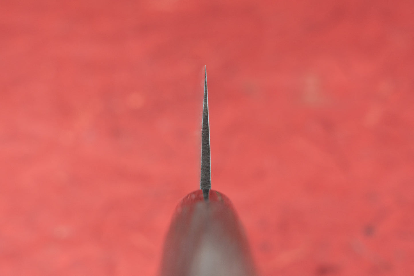 Fujimoto Nashiji Gyuto 210mm