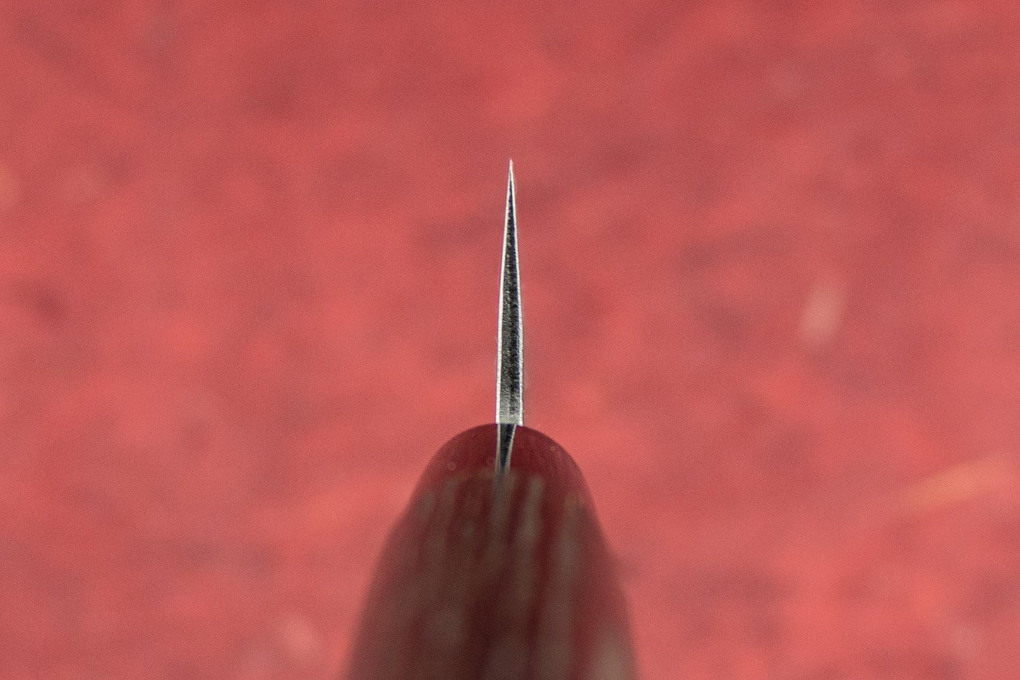 Fujimoto Nashiji Honesuki 150mm from Fujimoto