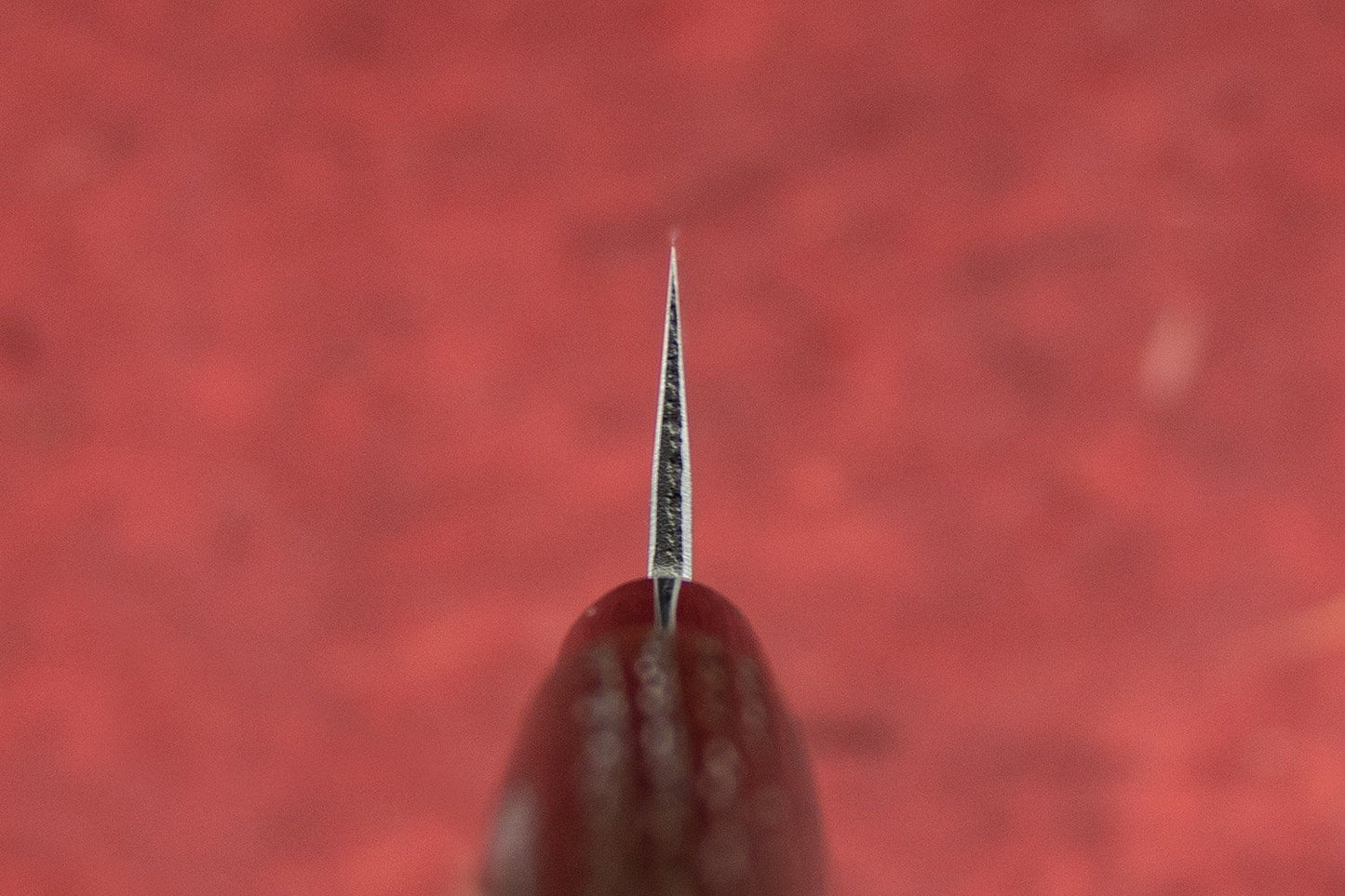 Fujimoto Nashiji Petty 135mm from Fujimoto